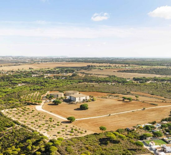 aerial-view-rural-landscape-crops-field-min (1)-min